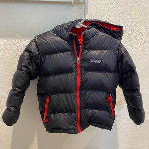 Patagonia Hi-Loft Down Sweater Hoody